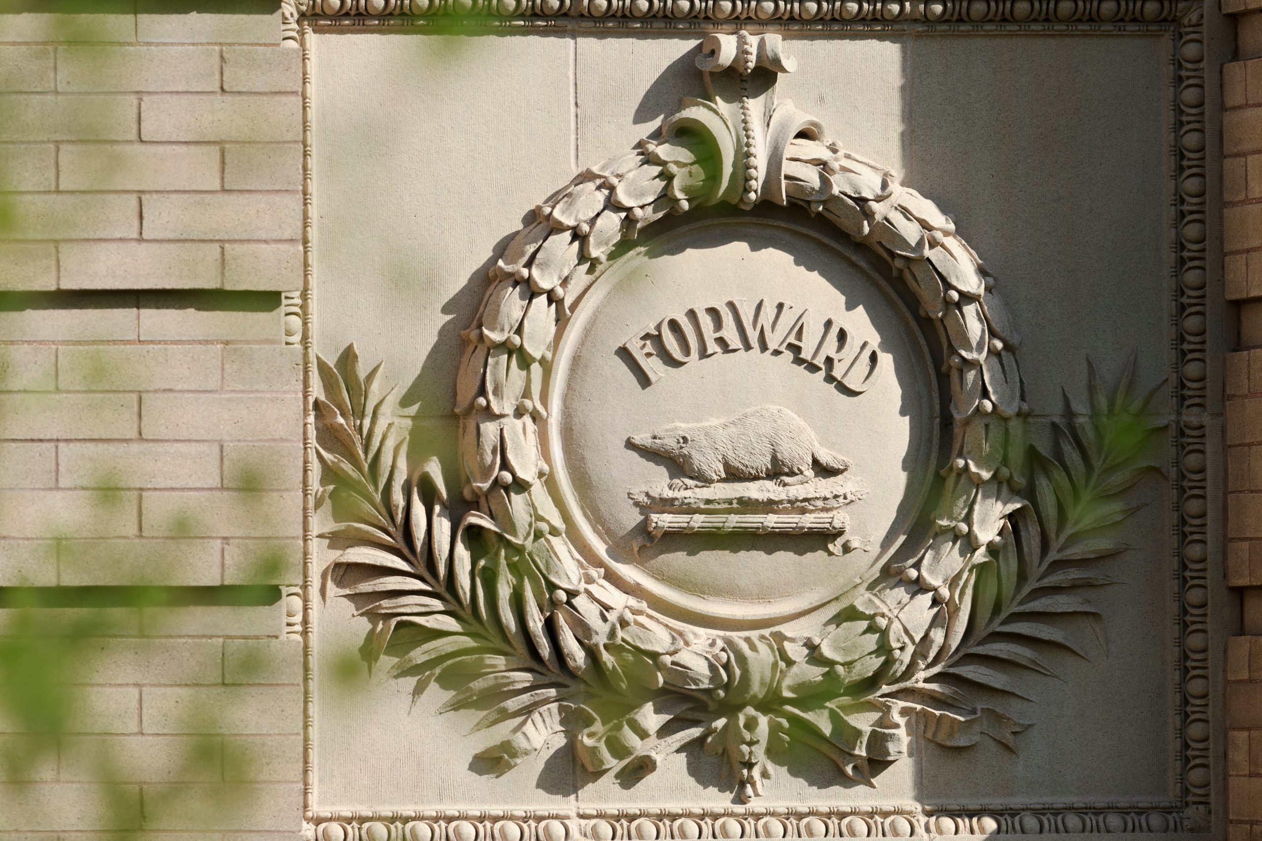 'Forward' emblem with badger image