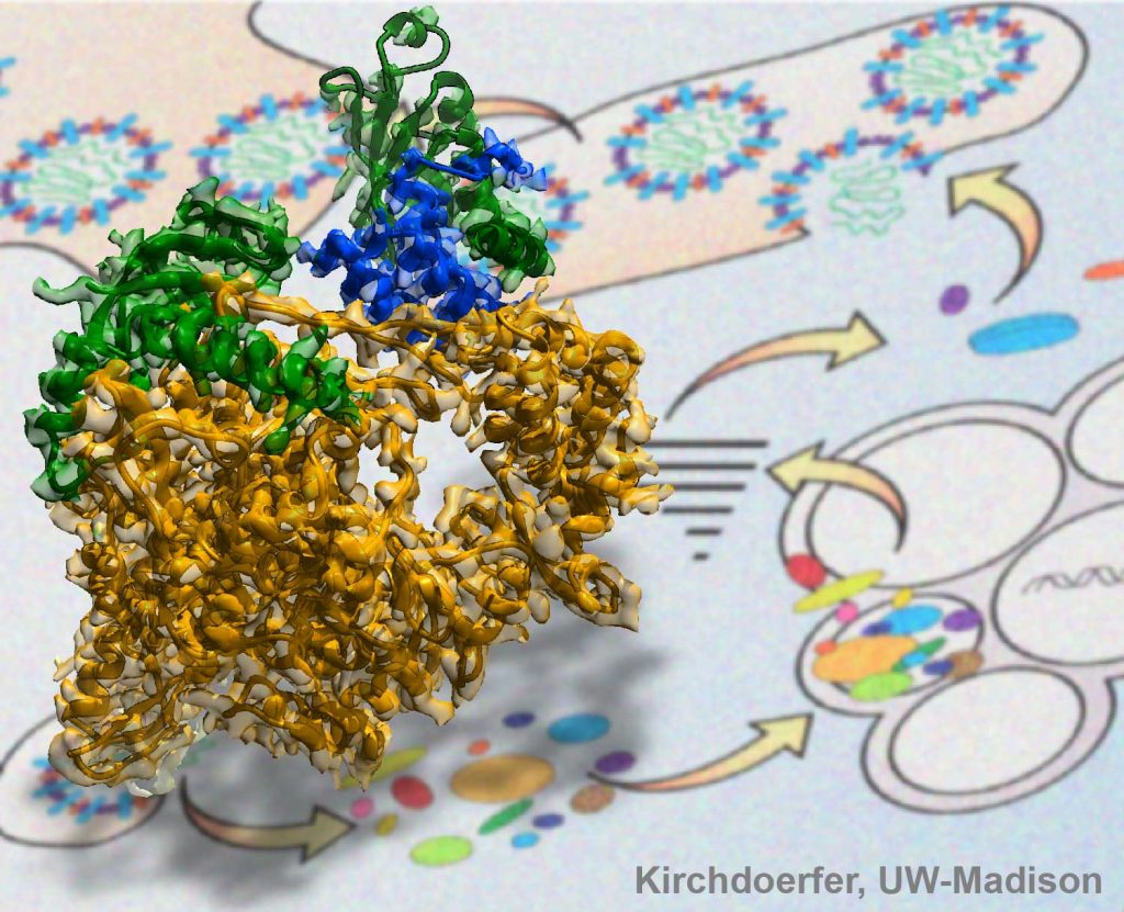3D SARS NSP12 protein structural model on background diagram of viral replication process